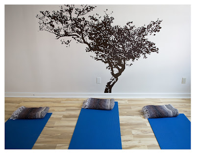 5 Birds Wellness & Lyme Therapy main image