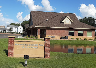 Allison White Insurance image