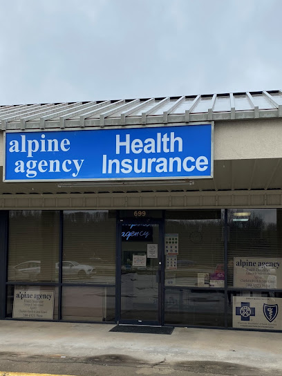 Alpine Agency Health Insurance image