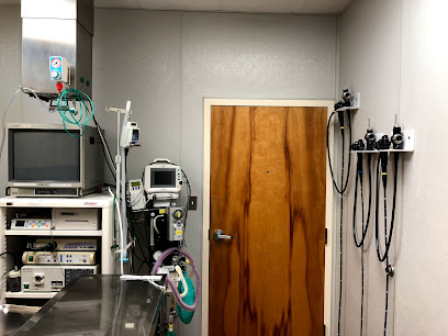 Animal Emergency & Critical Care of Lynchburg main image