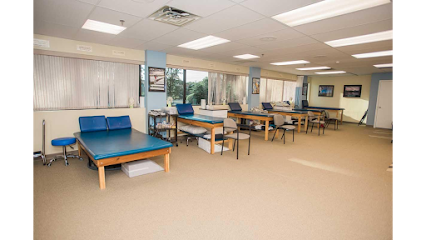 ApexFit Physical Therapy & Wellness main image
