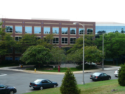 Arlington County Behavioral Healthcare - Mental Health and Substance Use Programs main image