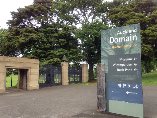 Auckland City Hospital main image