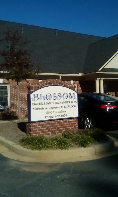 BLOSSOM GYNECOLOGY, WELLNESS & INFERTILITY, P.A. main image