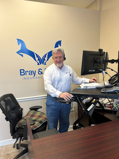 Bray and Oakley Insurance Agency image