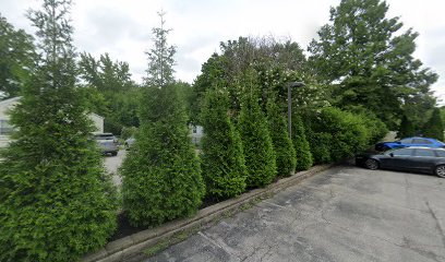 Bridges Support Group main image