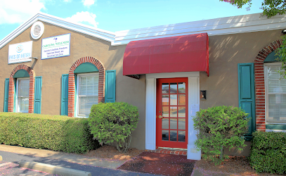 Carolina Wellness Aesthetics image