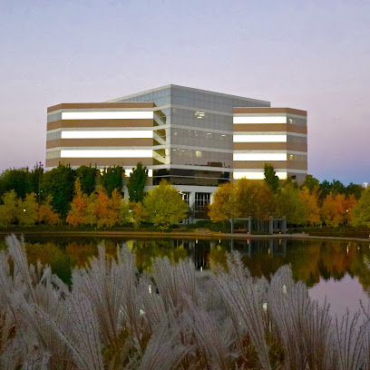 Centennial Lakes Dental Group main image