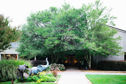 Center For Psychiatric Care main image