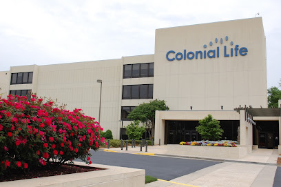 Colonial Life image
