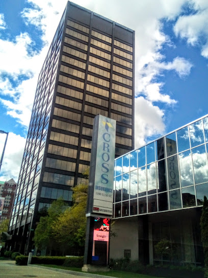 Cross Insurance image