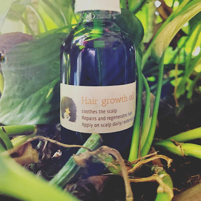 Delonnay HOLISTICS, Natural Medicine image