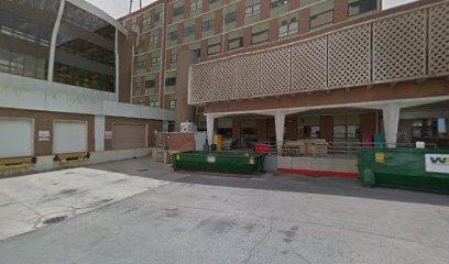 Department of Obstetrics and Gynecology main image