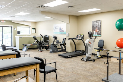 Elite Physical Therapy main image