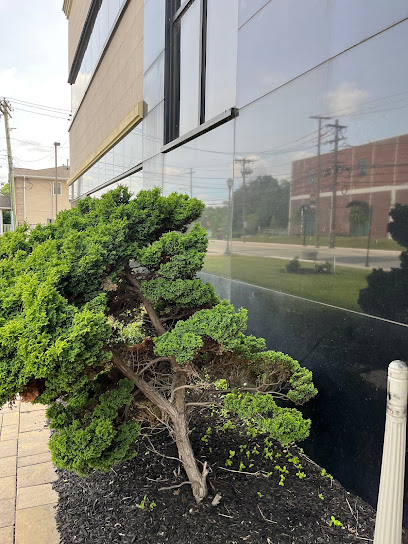 Englewood Health Coe Radiation Oncology Center main image