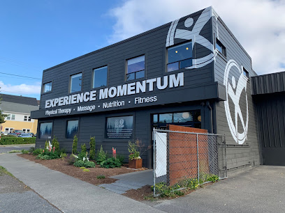 Experience Momentum image