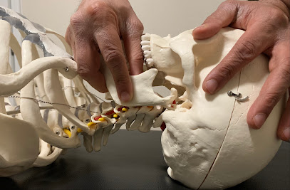 Expert Manual Therapy image