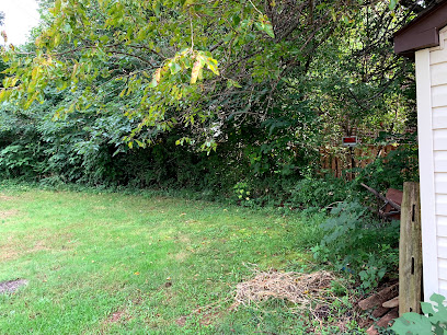 Fairfax Detoxification Center main image