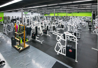 Fitness Experience main image