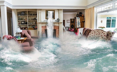 Flood Insurance Direct image