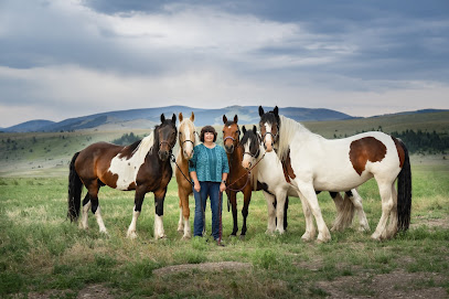 Four Horses for Wholeness main image
