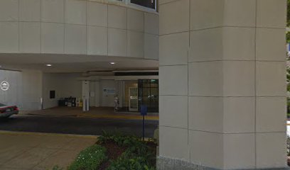 Georgia Health Sciences University: Surgery Department main image
