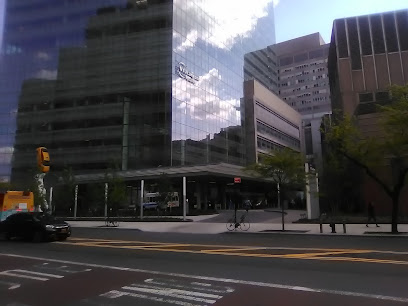 Geriatric Emergency Department - Mount Sinai Hospital main image