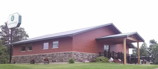 Greater Insurance Service of Northeastern Minnesota, Inc image
