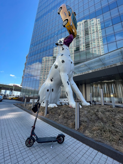 Hassenfeld Children’s Hospital at NYU Langone main image