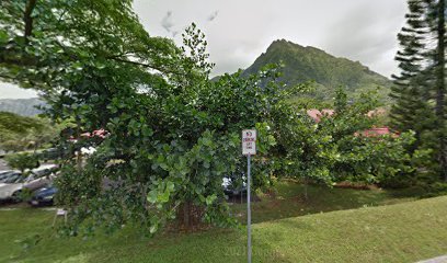 Hina Mauka main image