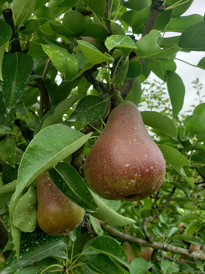 Home Orchard Education Center main image