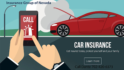 Insurance Group of Nevada Corp image