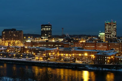 Insure New England image