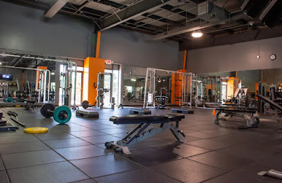 iThinkFit Gym main image