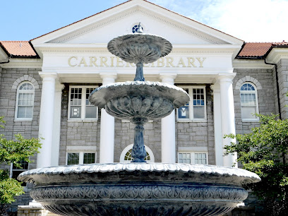 James Madison University image