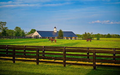 Lexington Insurance Agency, Inc. image