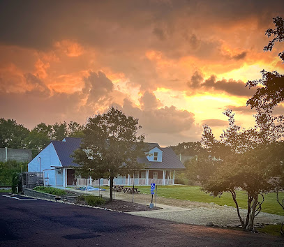 Light after Loss @The Hope and Healing Center main image
