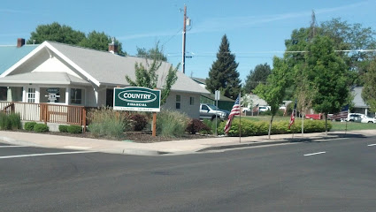 Lisa Doolin - COUNTRY Financial Agent image