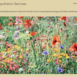 Manhattan Psychiatric Services main image
