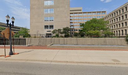 Michigan Department of Insurance and Financial Services image