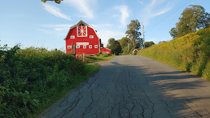 Milldale Farm Center for Wellness main image