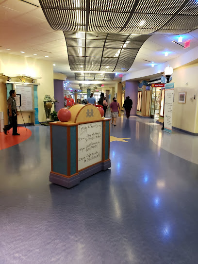 Monroe Carell Jr. Children's Hospital at Vanderbilt image