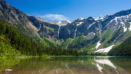 Montana Insurance Inc. image