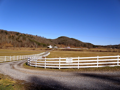 Mountain Quest Institute main image