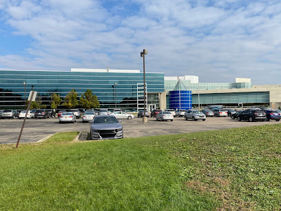 MOVI Michigan Outpatient Vascular Institute main image