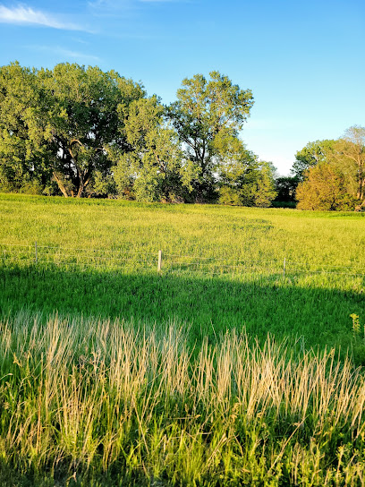 N E Nebraska Insurance image