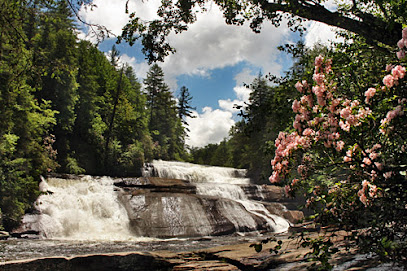 NAMI Western Carolina main image