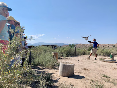 New Mexico Wildlife Center main image