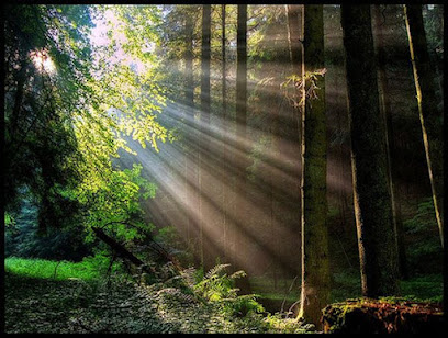 NewPath Mental Health Services fka Christian Recovery Counseling main image