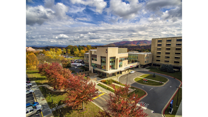 Niswonger Children’s Hospital image